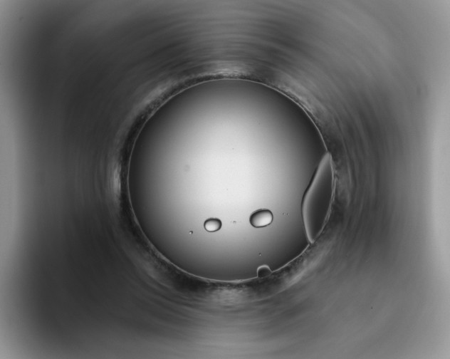 X0000094230350200711091318