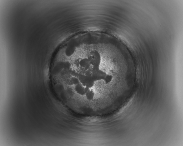 X0000094230351200711091318