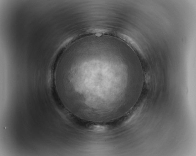 X0000094230352200711091318