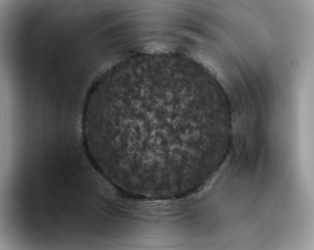 X0000094230353200711091318