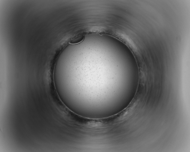 X0000094230354200711091318