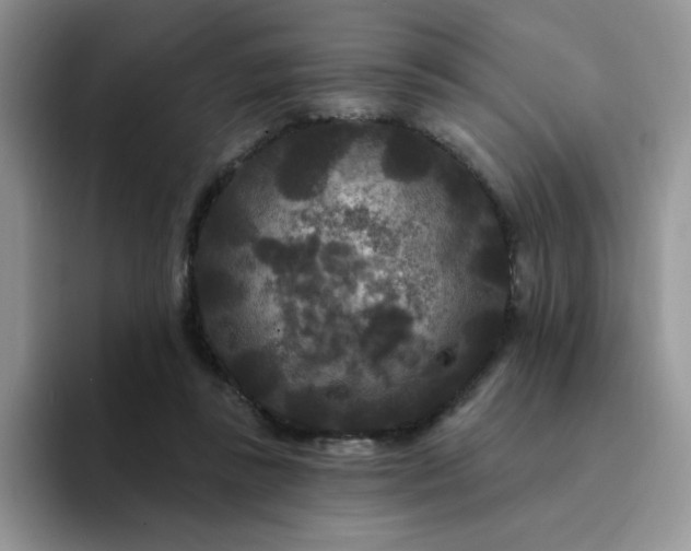 X0000094230355200711091318