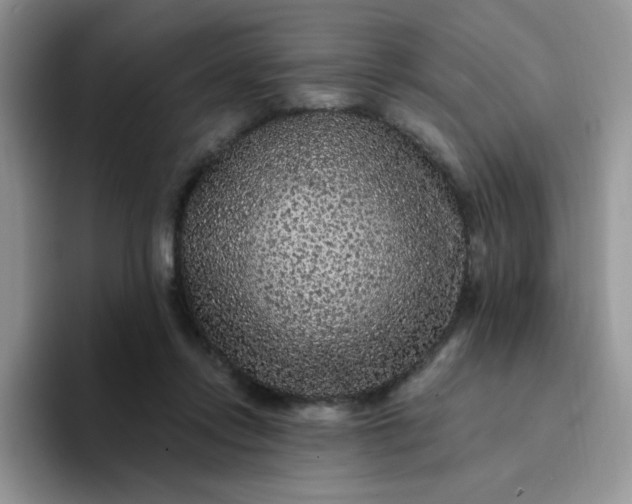 X0000094230358200711091318