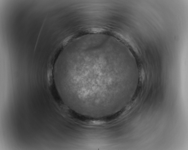 X0000094230360200711091318