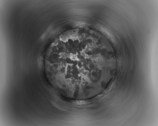 X0000094230361200711091318