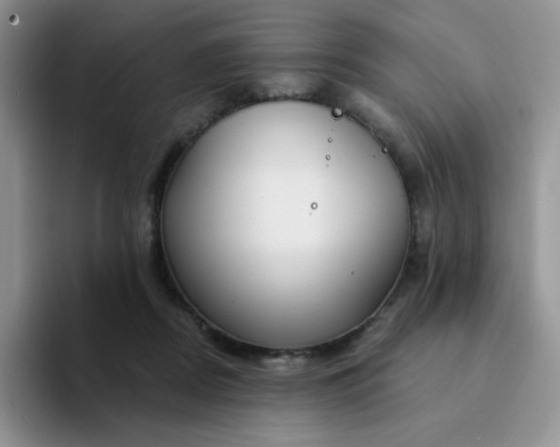 X0000094230362200711091318