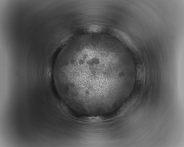 X0000094230363200711091318