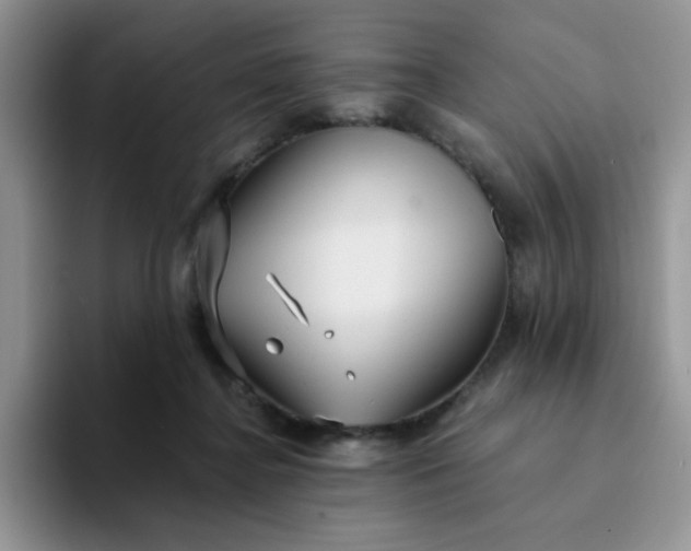 X0000094230364200711091318