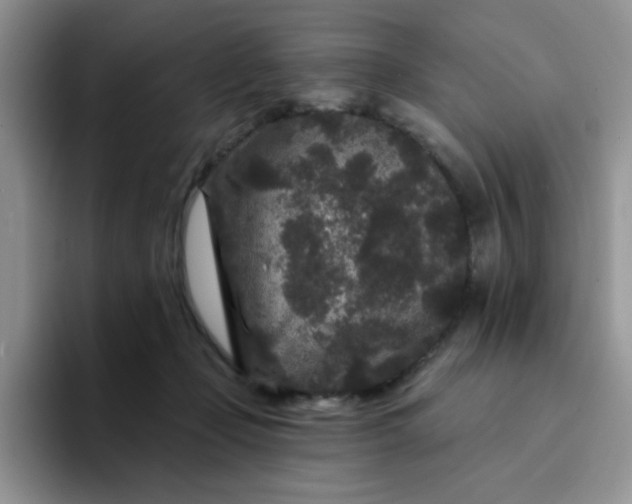 X0000094230365200711091318