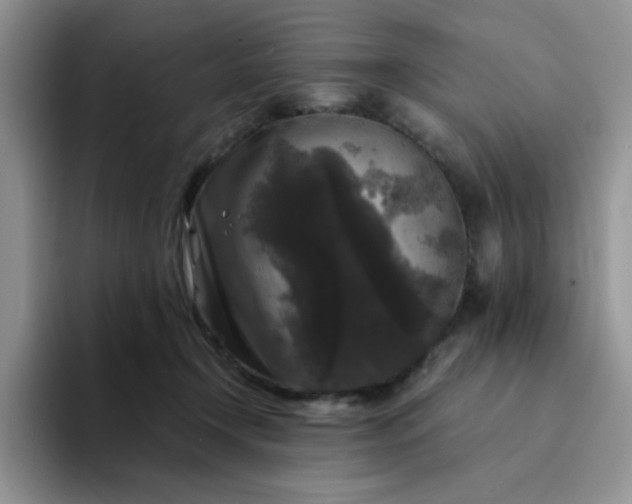 X0000094230366200711091318