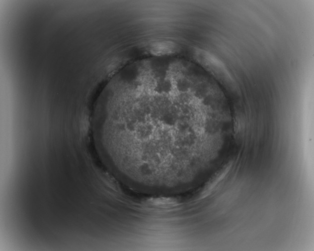 X0000094230367200711091318