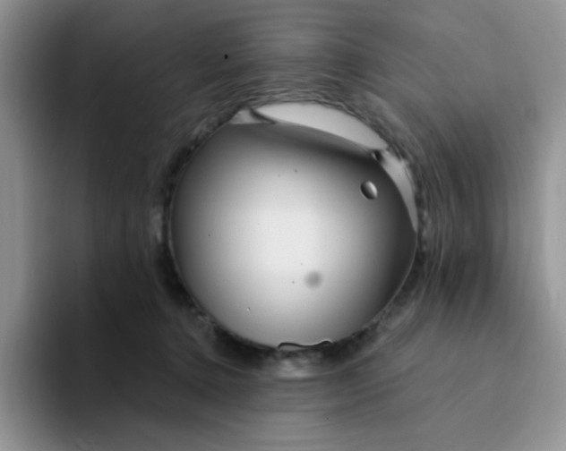 X0000094230368200711091318