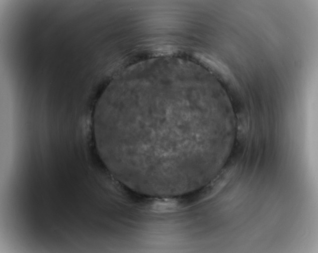 X0000094230369200711091318