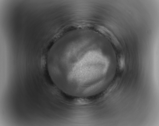 X0000094230372200711091318