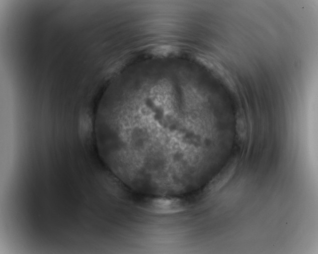 X0000094230375200711091318