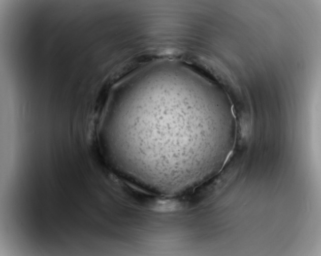 X0000094230376200711091318