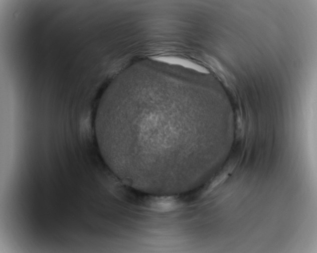 X0000094230377200711091318