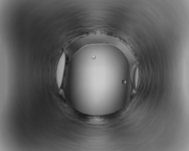 X0000094230380200711091318