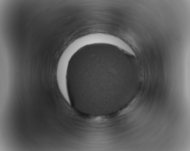 X0000094230382200711091318