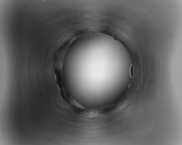 X0000094230384200711091318