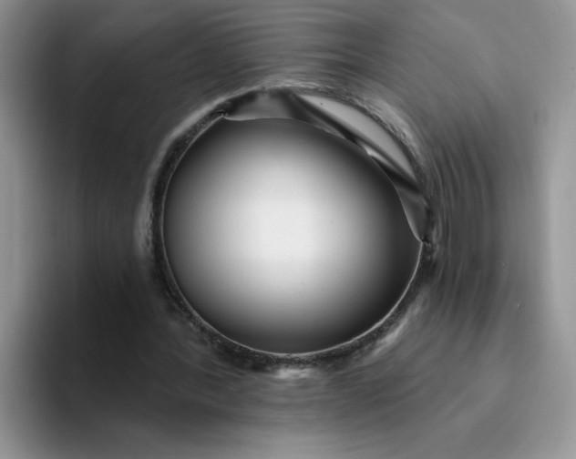 X0000094230388200711091318