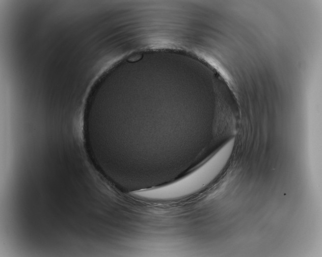 X0000094230391200711091318