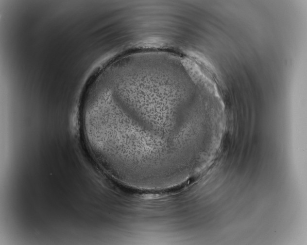 X0000094230392200711091318