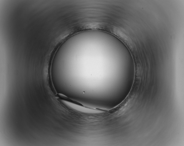 X0000094230394200711091318