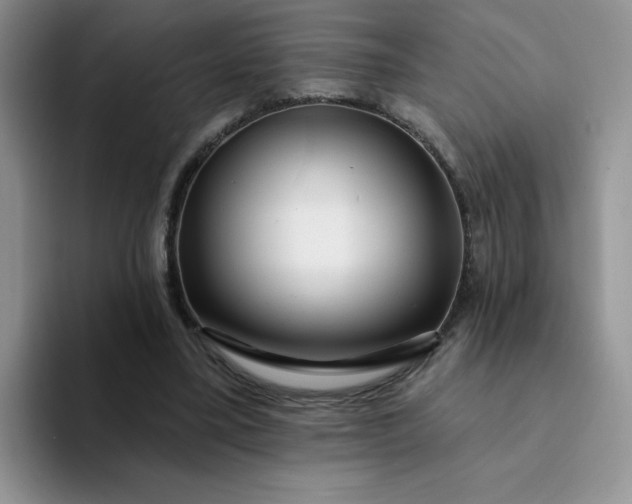 X0000094230395200711091318