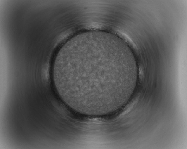 X0000094230396200711091318