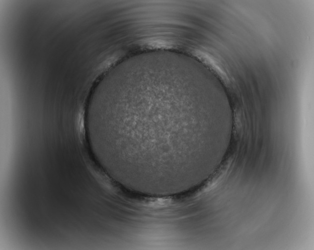 X0000094230398200711091318