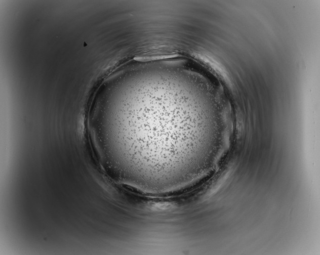 X0000094230401200711091318