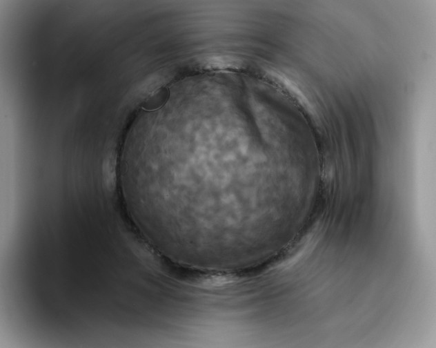 X0000094230402200711091318