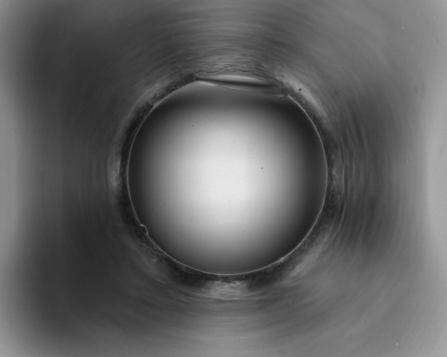 X0000094230403200711091318