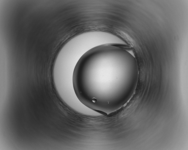 X0000094230405200711091318