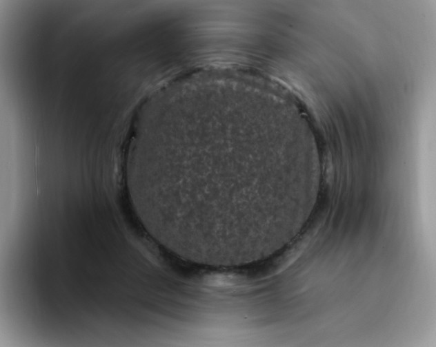 X0000094230408200711091318