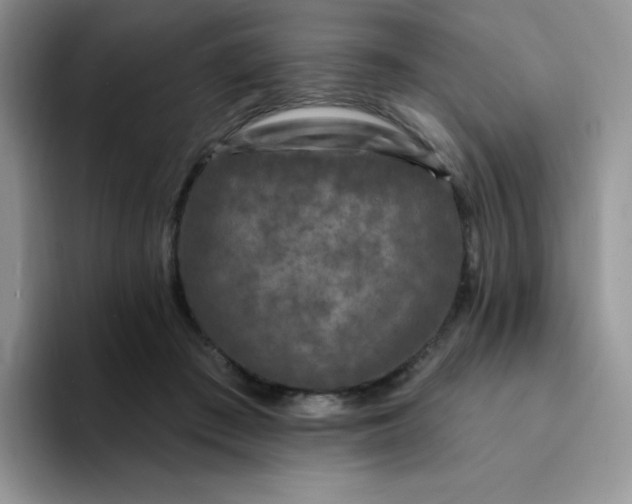 X0000094230409200711091317