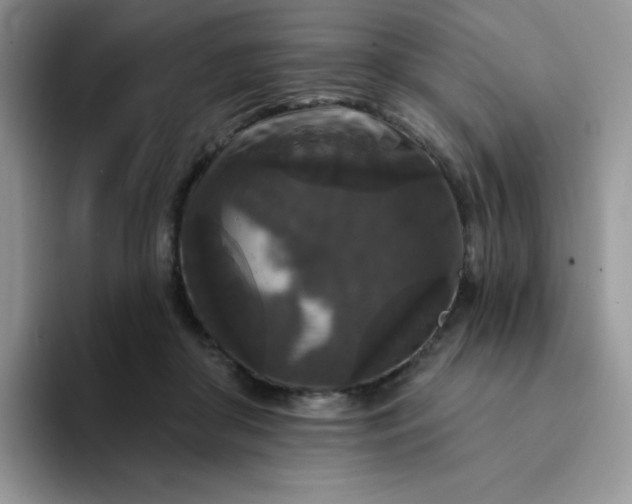 X0000094230410200711091317