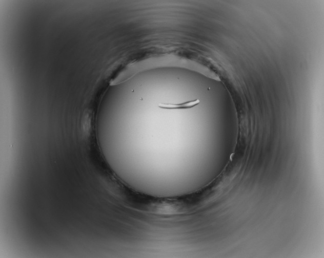 X0000094230412200711091317