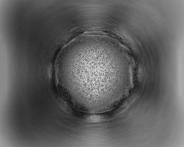 X0000094230413200711091317