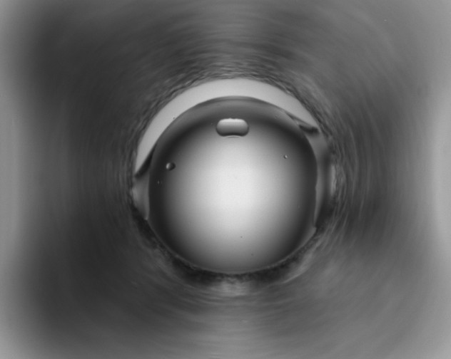 X0000094230416200711091317