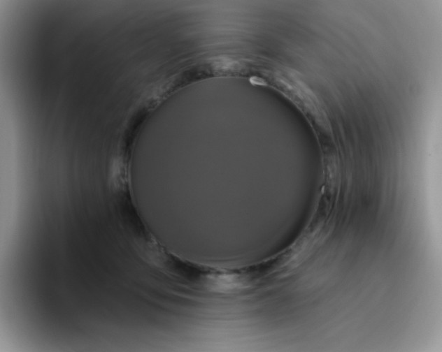 X0000094230419200711091317