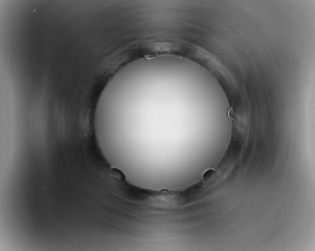 X0000094230422200711091317