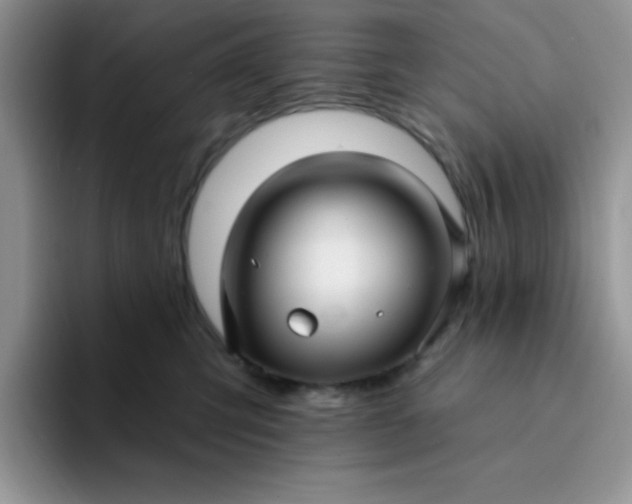 X0000094230423200711091317