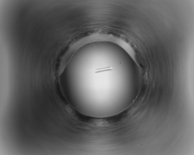 X0000094230424200711091317