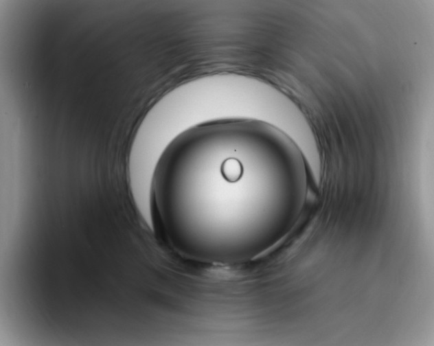 X0000094230425200711091317