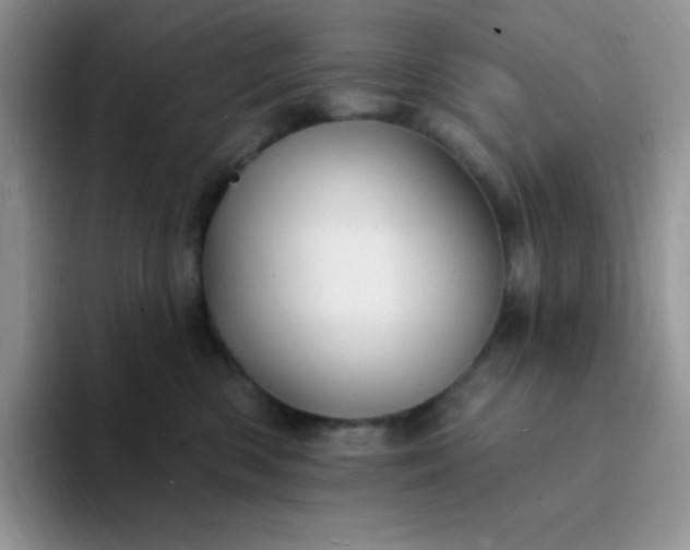 X0000094230426200711091317