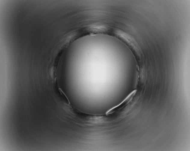 X0000094230428200711091317