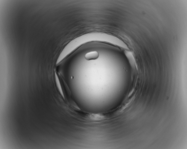 X0000094230429200711091317