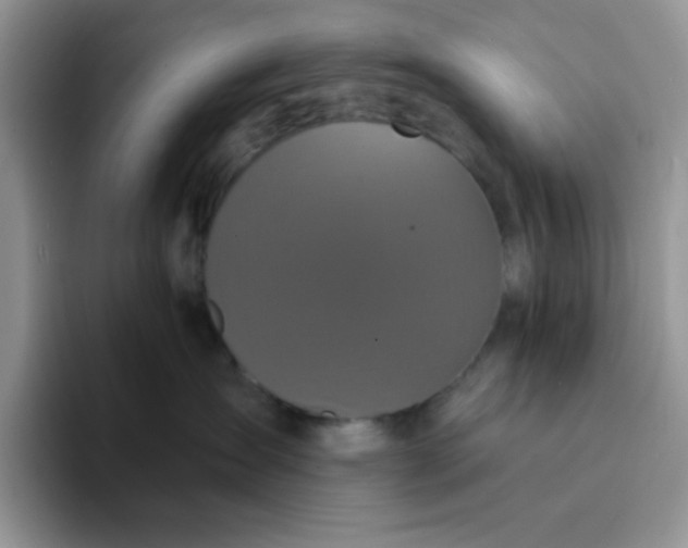 X0000094230431200711091317